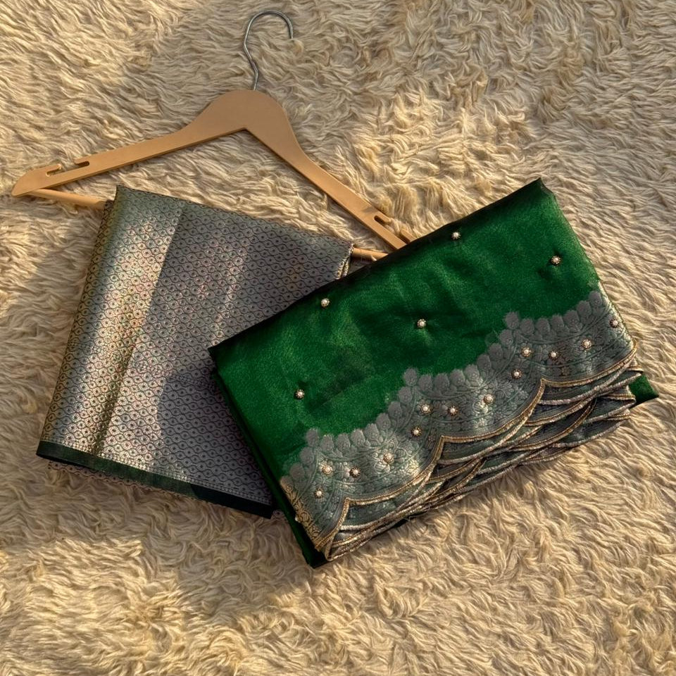 Green Banarasi Tissue Silk Saree Stone With Aari Work Alna Apparels