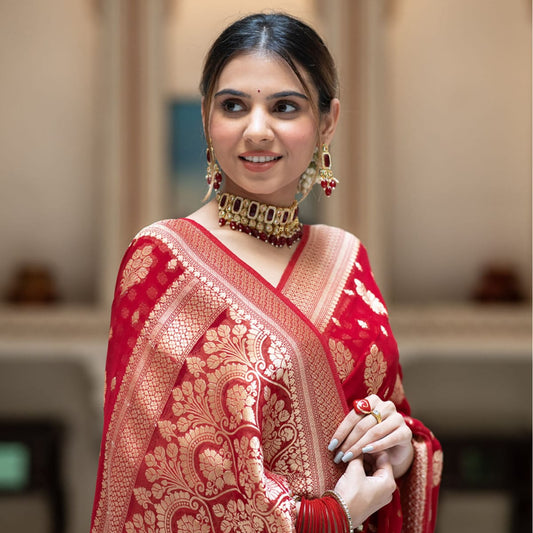 Red Banarasi Georgette Saree