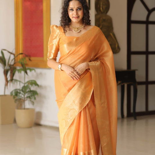 Orange Banarasi Tissue Silk Saree Alna Apparels