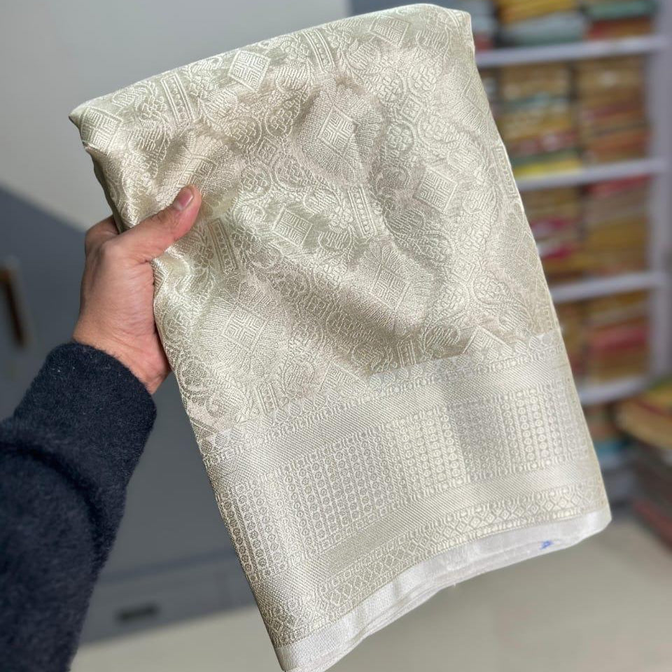 Nayantara inspired Silver Banarasi Tissue Silk Saree Alna Apparels