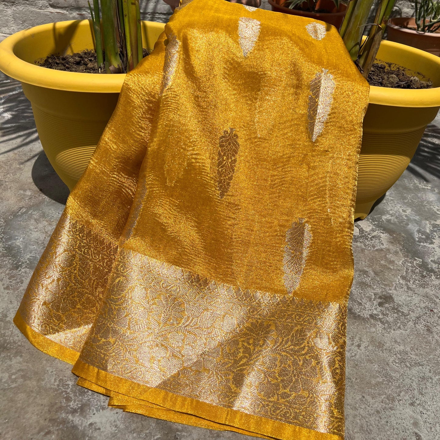 Mustard Yellow Banarasi Crush Tissue Silk Saree Alna Apparels