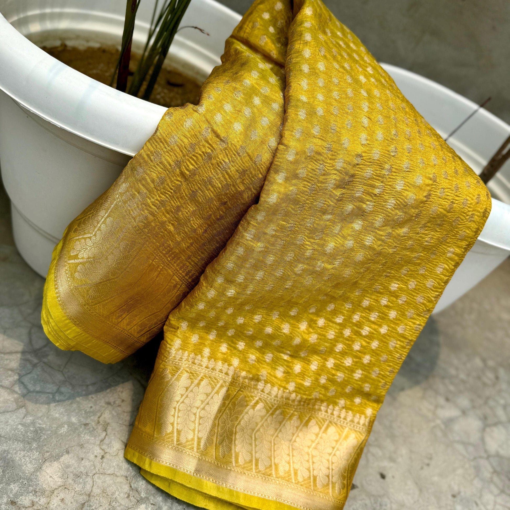 Mustard Yellow Banarasi Crush Tissue Silk Saree Alna Apparels