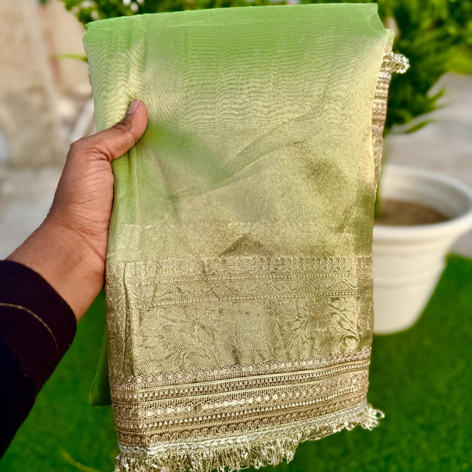 Lightgreen Banarasi Tissue Silk Saree with Grand Lace Work Alna Apparels