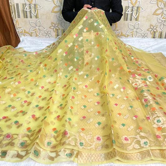 Green Banarasi Kora Organze Silk Saree Alna Apparels