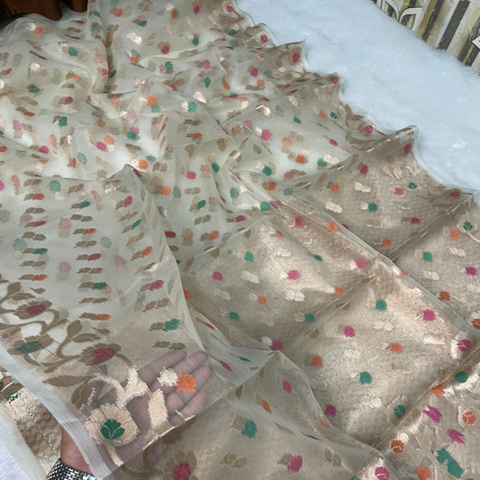 Beige Banarasi Kora Organze Silk Saree Alna Apparels