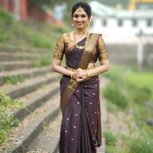 Banarasi Silk Saree Alna Apparels